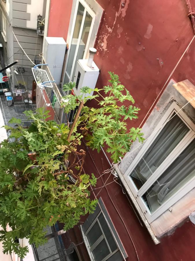 Cisterna'S House Ξενοδοχείο Νάπολη Εξωτερικό φωτογραφία